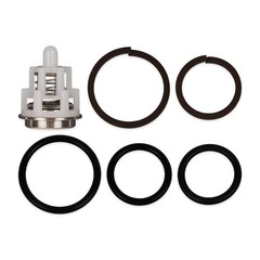 FITS General Pump Kit 15066 VALVE KIT, K15066 TSP-Series 66, Made in Italy