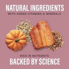 Natural Balance Specialized Nutrition Dry Dog Food Salmon And Oatmeal For Dogs