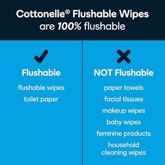 Fresh Feel Flushable Wet Wipes, Adult Wet Wipes, 8 Flip-Top Packs, 42 Wipes per