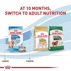 Royal Canin Size Health Nutrition Small Indoor Puppy Dry Dog Food 2.5 Lb Bag