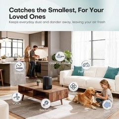 Air Purifiers for Office with H13 Quiet HEPA Filter Up to 1076 Ft² for Pet