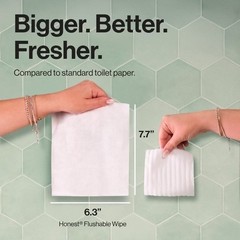 Flushable Wipes – 126ct
