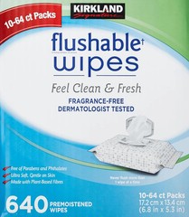 Kirkland Signature Moist Flushable Enhanced Cleansing & Freshness Ultra Soft 640