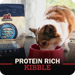 Redbarn Pet Products Redbarn Grain-Free Large Breed Dog – – In Usa No