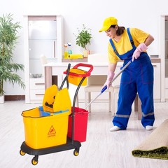 Sasylvia Yellow Mop Wringer Replacement Down Press Bucket