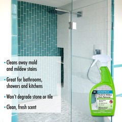 StoneTech Mold & Mildew Stain Remover, 24OZ (709ML) 24 fl oz (Pack of 1)