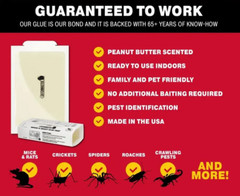 12 Catchmaster 72MB Mouse Mice Spider Insect Rodent Control Glue Board Traps