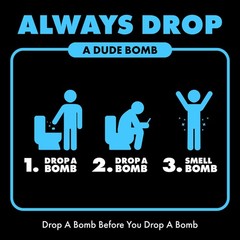 DUDE Wipes Bombs Toilet Stank Eliminator 40 Count (Pack of 1), Lavender