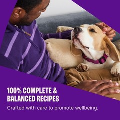 Wellness Complete Health Adult Dry Dog Food Wholesome Grain Kibble Natural