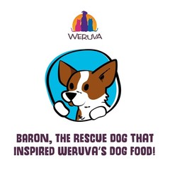 Weruva Dog Freeze Dried Steak Frites Dinner Sirloin Tip Egg Pumpkin Sweet