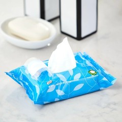 Flushable Wet Wipes for Adults Fresh Scent 420 Count Resealable Moist Towelettes