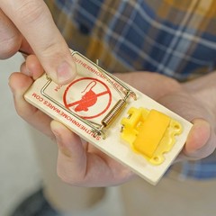 Snap Mouse Traps with Spring Action and Expanded Cheese-Shaped Trigger, Brown