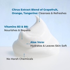 Nurture Rinse Free Waterless Foaming Cleanser for 8 Fl Oz (Pack of 3), red