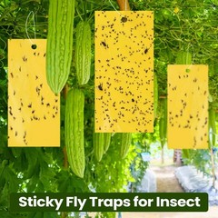 Qualirey 100 Pcs 7.87 x 3.9 Inch Yellow Sticky Traps 7.8 x Inch,