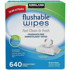 Moist Flushable Enhanced Cleansing Hypoallergenic Plant-Based Wipes – 640 Count