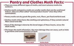 2 Traps Catchmaster Pantry Pest Moth Control Indian Meal Tobacco Mediterranean