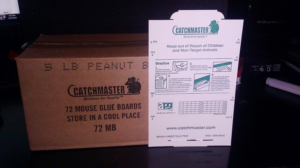 144 Catchmaster Mouse Mice Spider Lizard Insect Control Trap Glue Boards