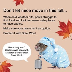 Steel Wool Mice Control 3pc, Mouse Hole Filler, Scissors & Gloves,