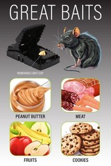 Rat Trap Six Pack – Indoor and Outdoor Traps for 6 Traps, Black