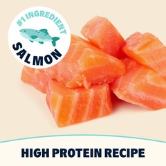 Barkbox Bark In The Belly Salmon Ancient Grains Recipe Premium Dog Food – 28Lb