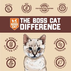 Boss Cat Complete Balanced Freeze Dried Raw Diet For Cats Chicken Recipe 9 Oz