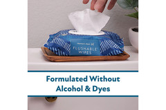 Member’s Mark Flushable Wipes Fresh Scent 540 Count Soft & Gentle Pack