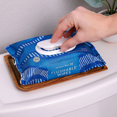 Member’s Mark Flushable Wipes, Fresh Scent, 540 ct.