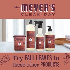 CLEAN DAY Dish Soap, Fall Leaves Scent, 16 fl oz (Pack of 3)
