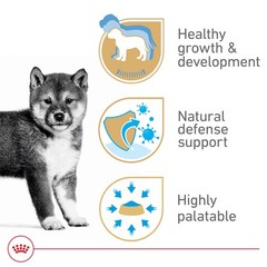 Royal Canin Puppy Canned Dog Food 13.5 oz – Pack of 6 – Healthy Growth