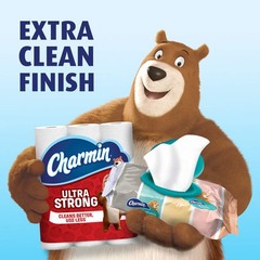 Charmin Flushable Wipes, 40 count per pack 40 Count (Pack of 1)