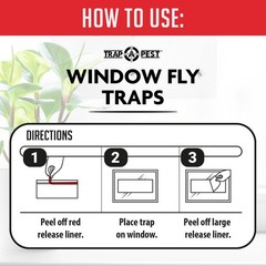 Window Fly Traps Indoor Clear (30 Pack) – for 30 Pack