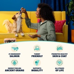 Barkbox Bark In The Belly Salmon Ancient Grains Recipe Premium Dog Food – 28Lb