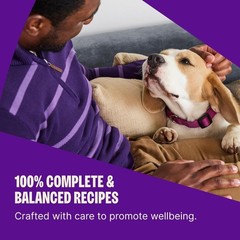 Wellness Complete Health Healthy Weight Adult Dry Dog Food, Wholesome Grain Kibb