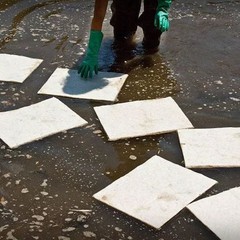 Brady-Sorbent Pad, 32 gal, 15 in x 19 in, Universal, White, Cellulose|15996