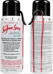 SEA FOAM SPRAY CLNR 12OZ 12 Ounce (Pack of 2)
