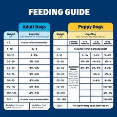 Barkbox Bark In The Belly Salmon Ancient Grains Recipe Premium Dog Food – 28Lb
