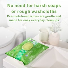 McKesson Flushable* Personal Wipe 7.5 x 12.5″ DXLF96 1 Pack 96 Wipes