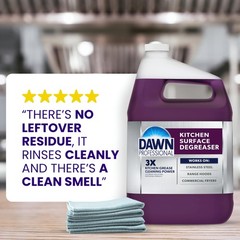 Dawn PRO Kitchen Surface Degreaser, Bulk 32 Fl Oz (Pack of 6), purple