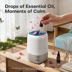 Air Purifiers for Home with H13 Quiet HEPA Filter Up to 1076 Ft² for Pet Hair…