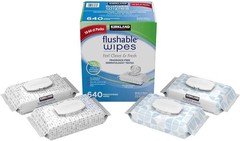 Kirkland Signature Moist Flushable Enhanced Cleansing & Freshness Ultra Soft 640