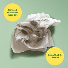 Earth Rated Pet Wipes for Dogs & Cats, Hypoallergenic, Unscented, 100 Count