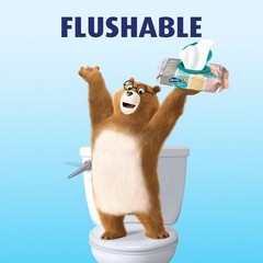 Charmin Flushable Wipes, 40 count per pack 40 Count (Pack of 1)