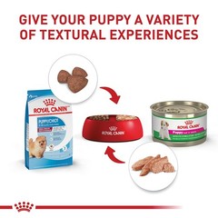 Royal Canin Size Health Nutrition Small Indoor Puppy Dry Dog Food 2.5 Lb Bag
