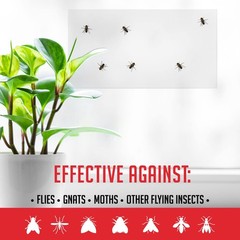 Window Fly Traps Indoor Clear (30 Pack) – for 30 Pack