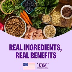 Wellness Complete Health Healthy Weight Adult Dry Dog Food, Wholesome Grain Kibb