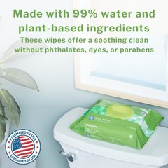 McKesson Flushable* Personal Wipe 7.5 x 12.5″ DXLF96 1 Pack 96 Wipes