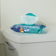 Charmin Freshmates Flushable Wipes (Pack of 3) 80Ct