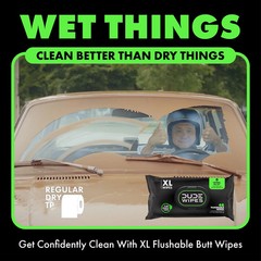 DUDE Wipes Flushable Wipes 3 Pack (144 XL Wipes) Herbal Relief