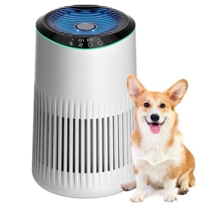 Air Purifiers for Home, Air Purifier for Smoke Odors with Fragrance Sponge, S…