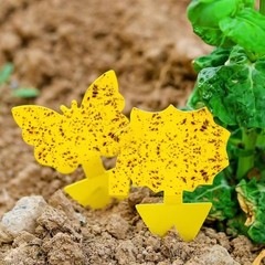 Cleanuper 58 Pack Yellow Sticky Gnat Traps for Plants – Fungus S32, FROM USA